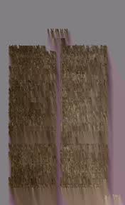 Attēlu rezultāti vaicājumam “Trichia longipalpis”