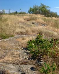 Image result for site:net pino◆MatthewZ8E