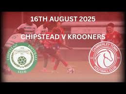 Image result for Camberley Ladies Football Club