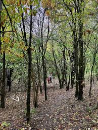 Image result for Polegate Rambling Club