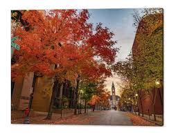 Image result for $$fall_akte__ort$$