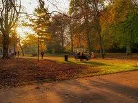 Image result for sonsbeek park