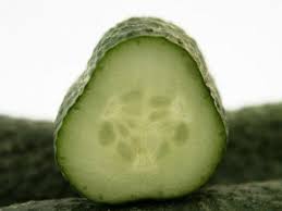 Image result for Gurke