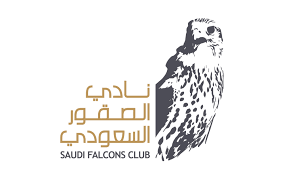 Image result for Falcon Sa Club
