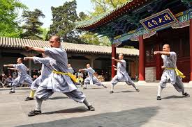 Image result for kung fu