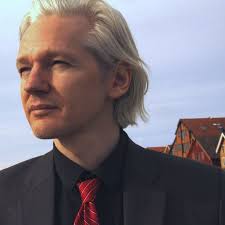 Image result for assange