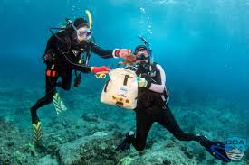 Image result for Seabug Divers