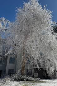 Image result for ice storm