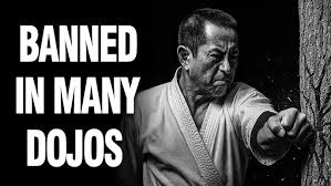 Image result for enpi dojo