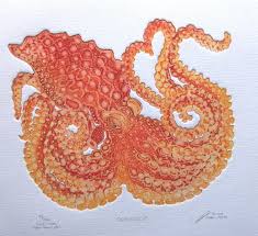 Attēlu rezultāti vaicājumam “Polypogon tentacularius male”