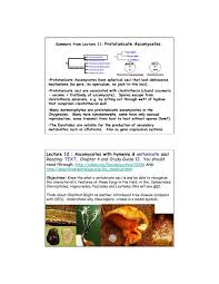 Attēlu rezultāti vaicājumam “Diatrype disciformis”