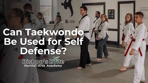 Image result for Combined self defence arts