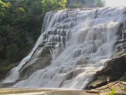 Image result for Fern Gray 1973 Jaguar