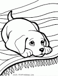 Dog coloring page