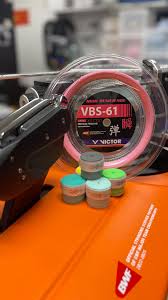 Image result for The Highly Strung Badminton Club