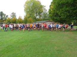 Image result for Hyde Abbey Bowls Club