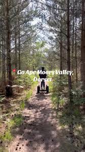 Image result for Go Ape! Moors Valley