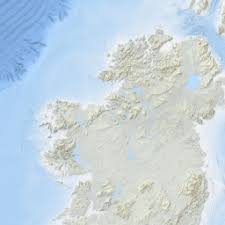 Attēlu rezultāti vaicājumam “Asaphidion pallipes”