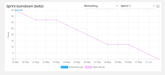 Image result for burnup chart