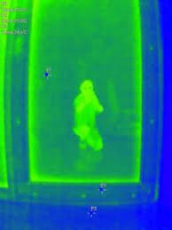 Image result for thermographie-aufnahmen