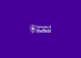 Image result for Sheffield University
