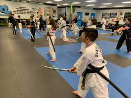 Image result for IXL Martial Arts