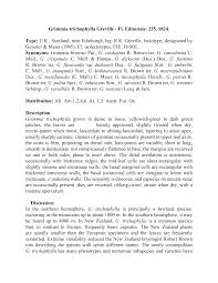 Attēlu rezultāti vaicājumam “Grimmia muehlenbeckii sporophyte”