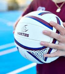 Image result for Wombles Netball Club