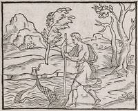 Image result for "Scyphus Nestoris"