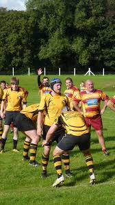 Image result for Windermere Rugby Club