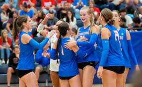 Image result for Colne Valley Football Club- Girls