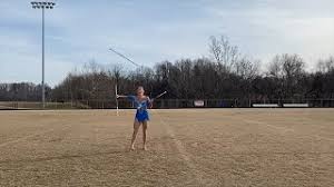 Image result for sapphire twirlstars