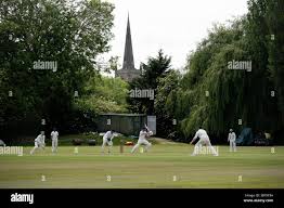 Image result for Trinity Cricket Club