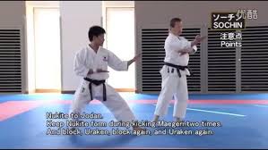 Image result for enpi dojo