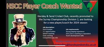 Image result for Horsley & Send Cricket Club