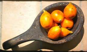 Attēlu rezultāti vaicājumam “Libanotis montana fruit”