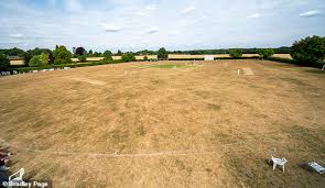 Image result for Odiham & Greywell Cricket Club