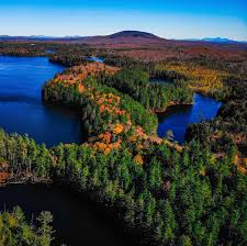 Image result for $$fall_akte__ort$$