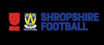 Image result for Lawley Lightmoor Comets Football Club