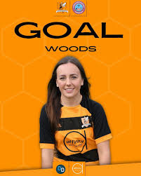 Image result for Wasps Football Club