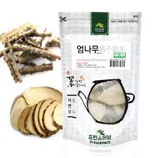 Attēlu rezultāti vaicājumam “Kalopanax septemlobus fruit”