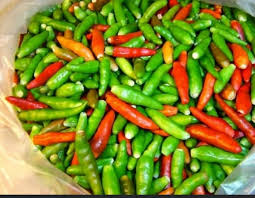 Afbeeldingsresultaat voor thai bird pepper hot pepper