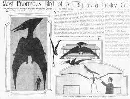 Image result for BARNET and WHETSTONE CHANGQUAN FLYING DRAGON