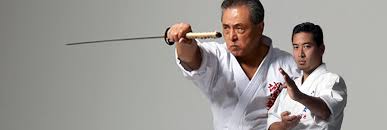 Image result for Aylesbury Vale Seido Karate