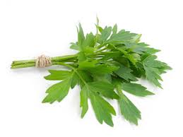 Attēlu rezultāti vaicājumam “Levisticum officinale leaf”