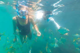 Image result for Belfairs Dolphins Snorkelling Club