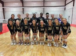 Image result for Ashford Tanners Handball Club