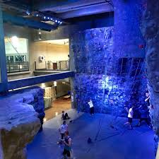 Image result for Langley Rockets Badminton Club