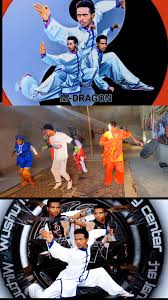 Image result for Dragon Wushu Club