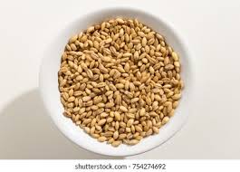 Attēlu rezultāti vaicājumam “Hordeum vulgare fruit”